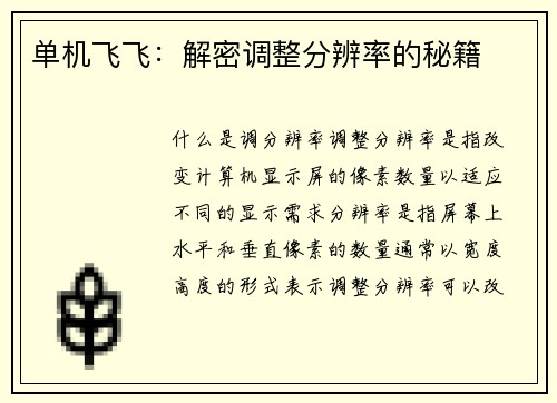 单机飞飞：解密调整分辨率的秘籍